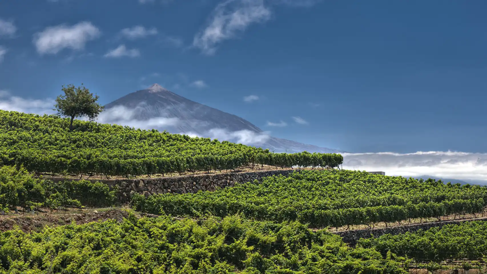 Vista de Garachico, Tenerife